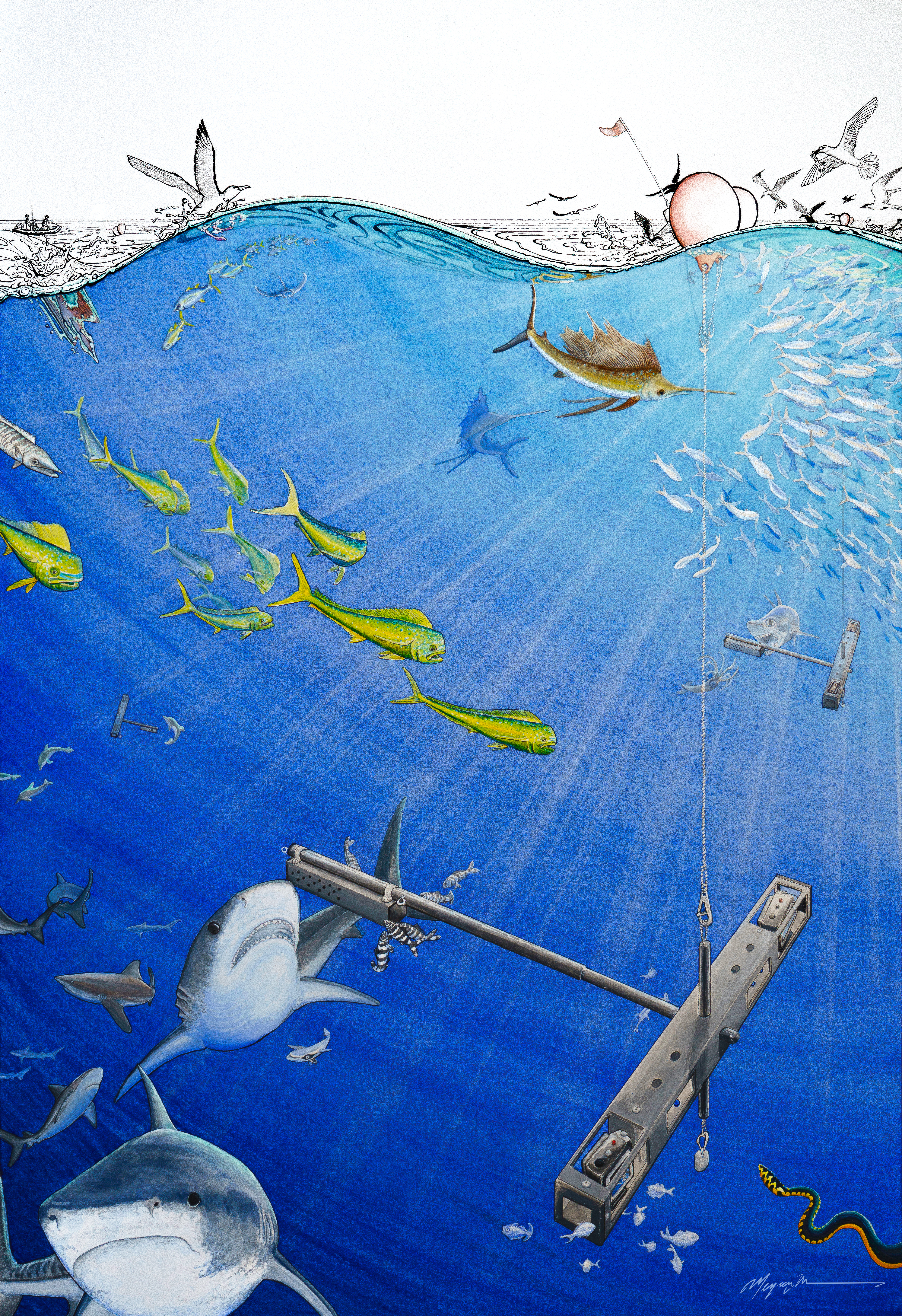 Pelagic BRUVS longline deployment