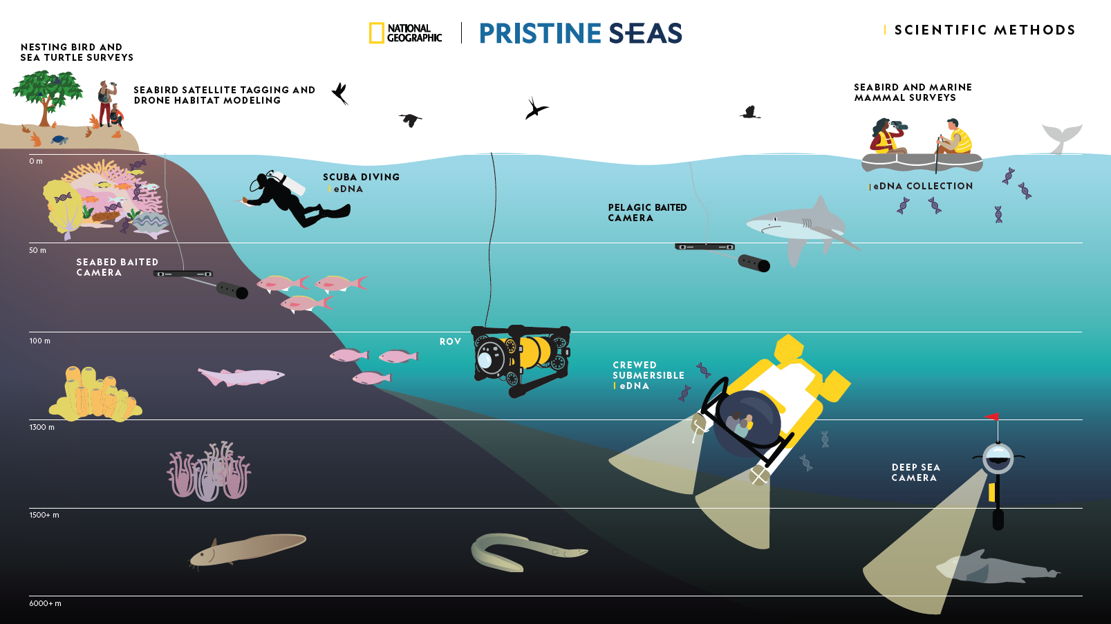 Pristine Seas Science Methods